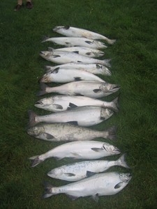 lake michigan salmon fishing grand haven